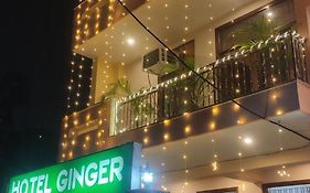Hotel Ginger Palace By Aura